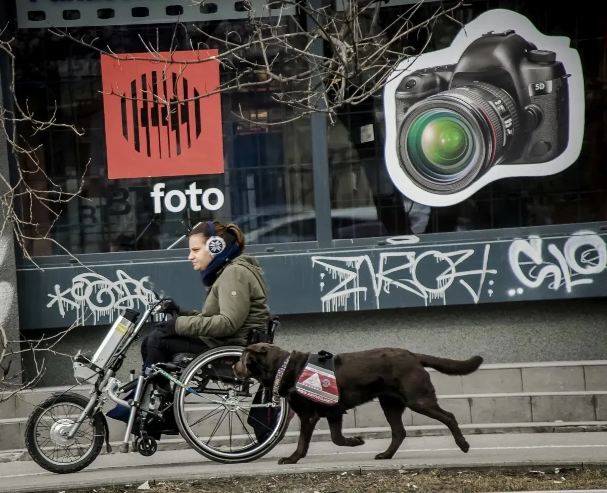 Wheelchair user traveling with a guide dog past a camera-store window
